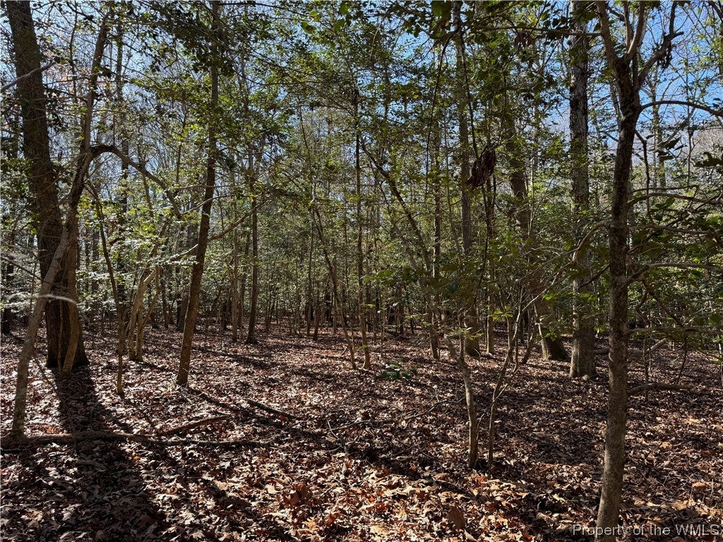 8333 Croaker Road Williamsburg, VA 23188 - Photo 1 of 1 Gallery Image 1