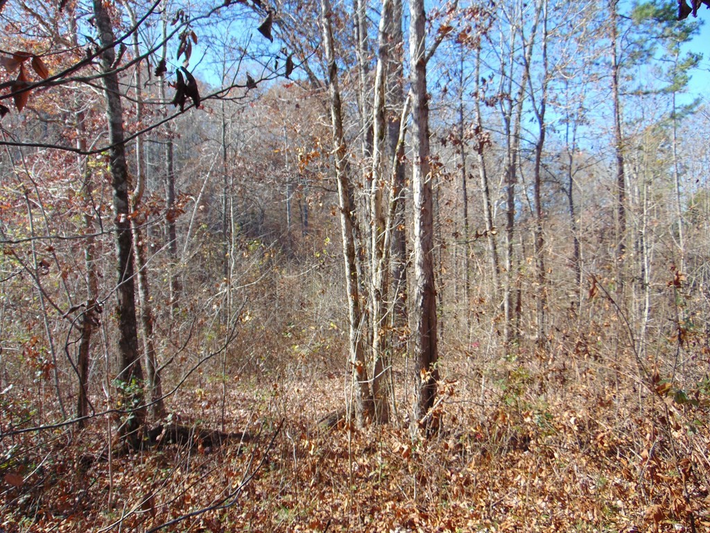 463 Co Road Englewood, TN 37329 - Photo 15 of 28