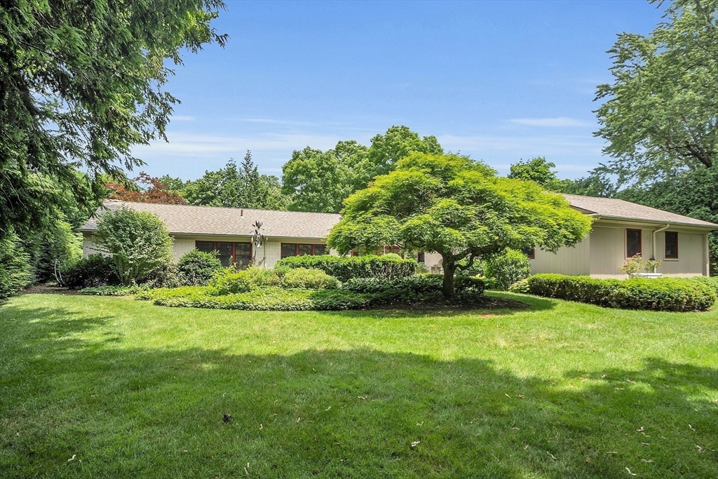 595 Salisbury Street Worcester, MA 01609 - Photo 34 of 41 a view of a house with a big yard potted plants and large trees