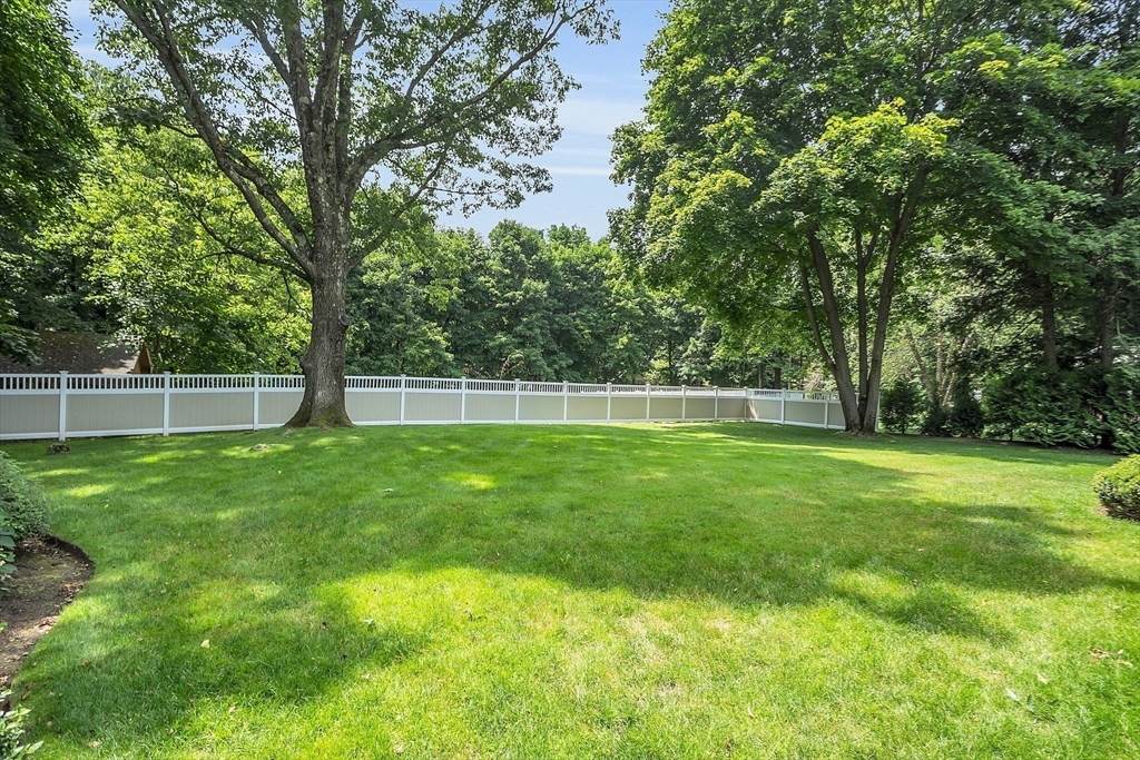 595 Salisbury Street Worcester, MA 01609 - Photo 36 of 41 a view of a yard with a large trees