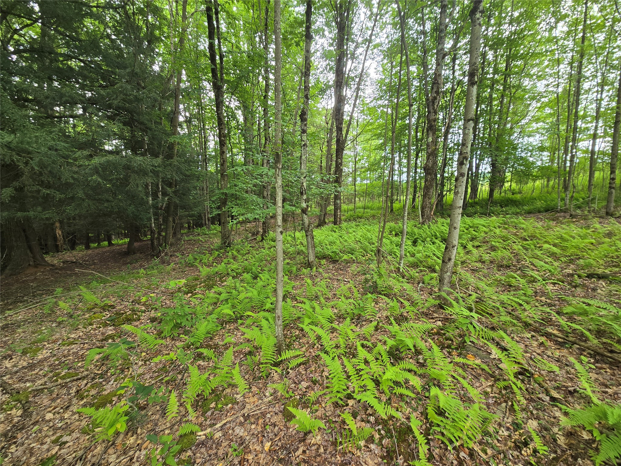 143 Swift Road, Unit 3 Binghamton, NY 13905 - Photo 18 of 31 Gallery Image 18