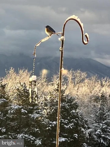 $1,100,000 | 1050 Almond Drive, Luray, VA 22835