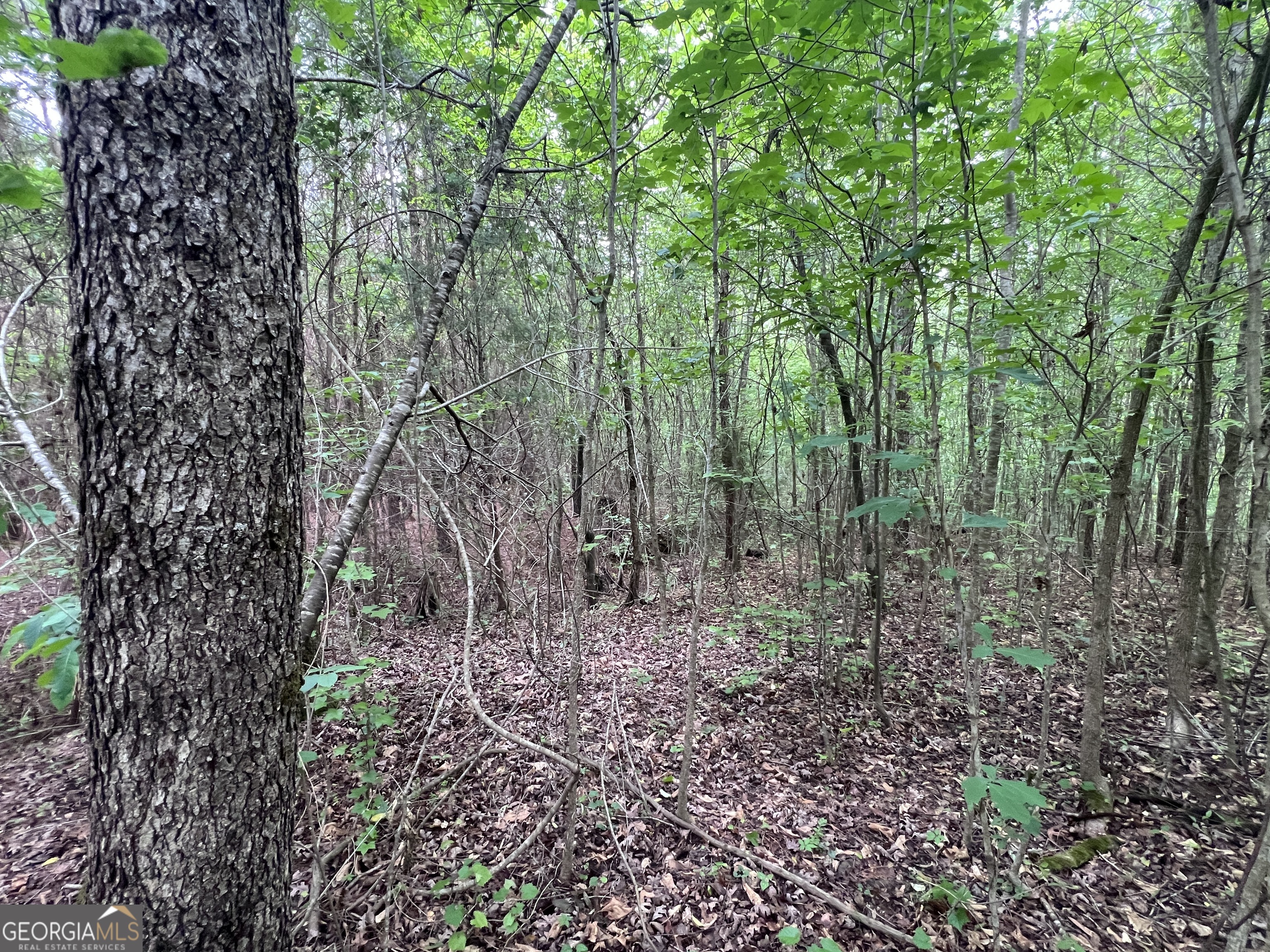 0 Bethlehem Church Road Grantville, GA 30220 - Photo 17 of 22