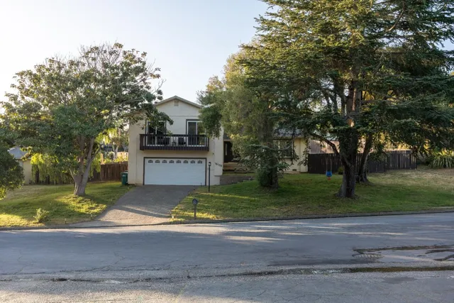 a view of a house with a yard and large tree