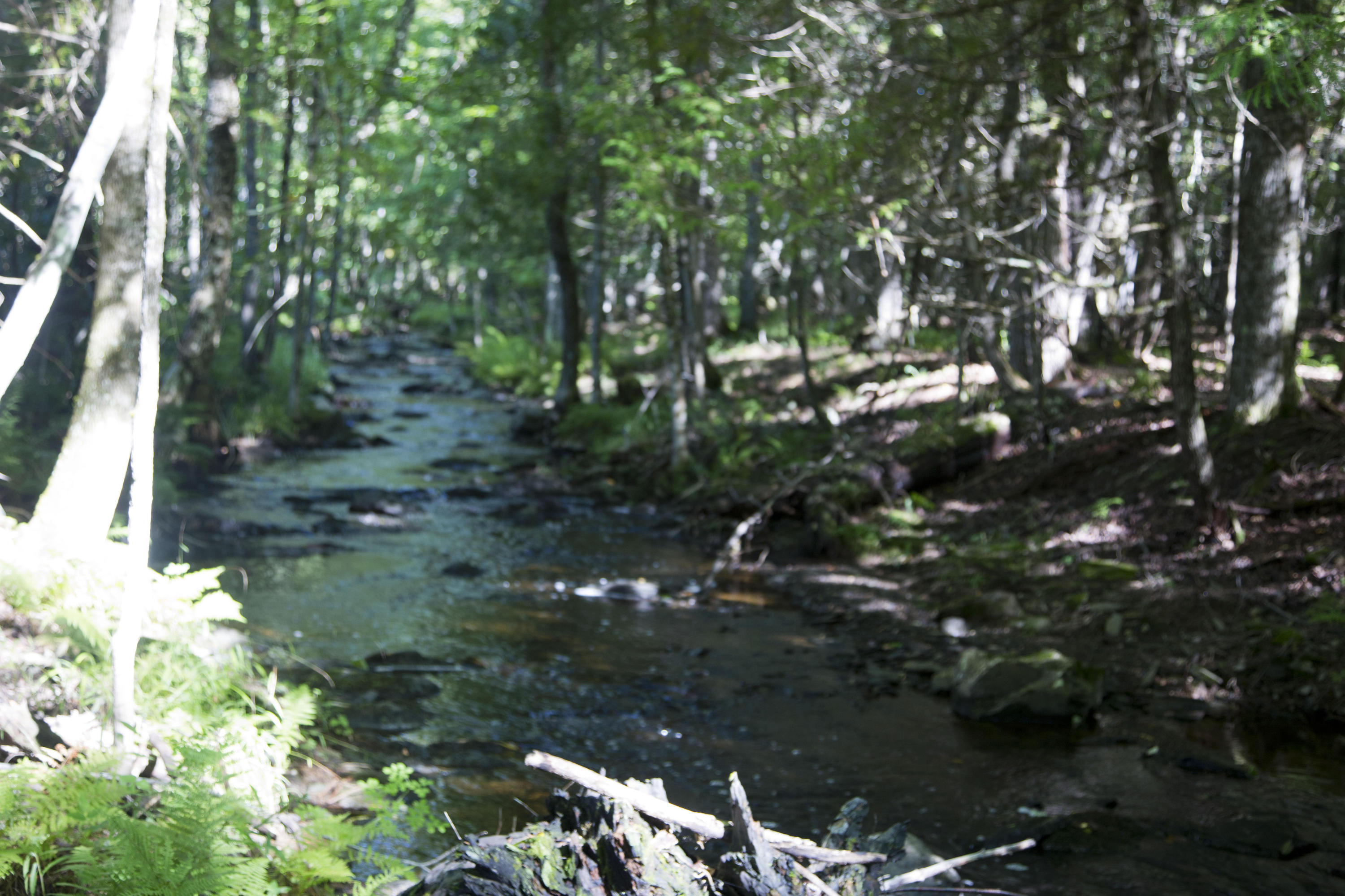 180 Village Road Stetson, ME 04488 - Photo 44 of 72 Brool