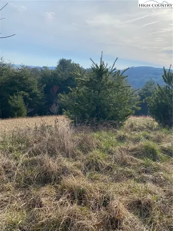 a view of a field