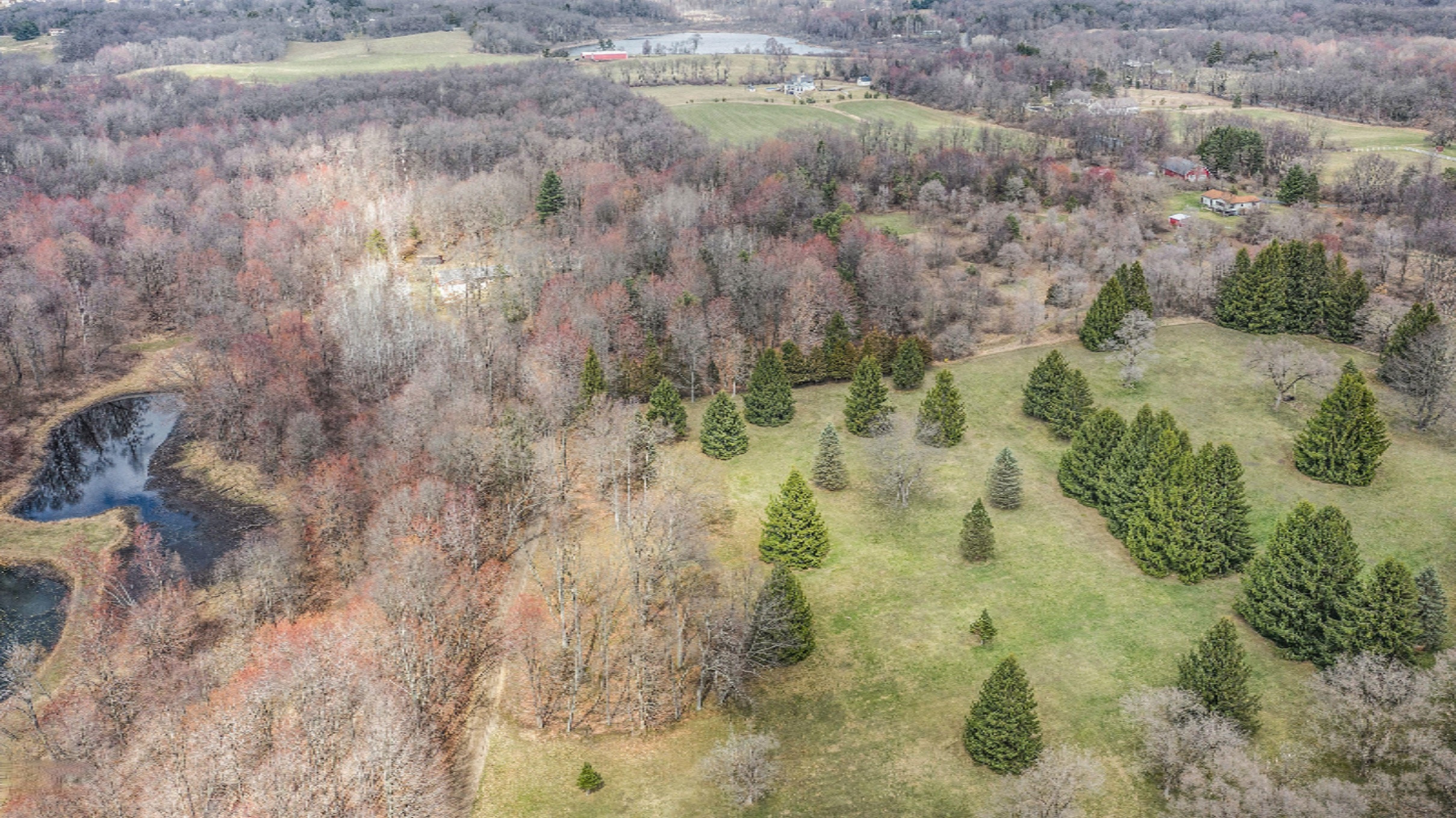 655 Hamilton Road Battle Creek, MI 49017 - Photo 4 of 31 DJI_0884