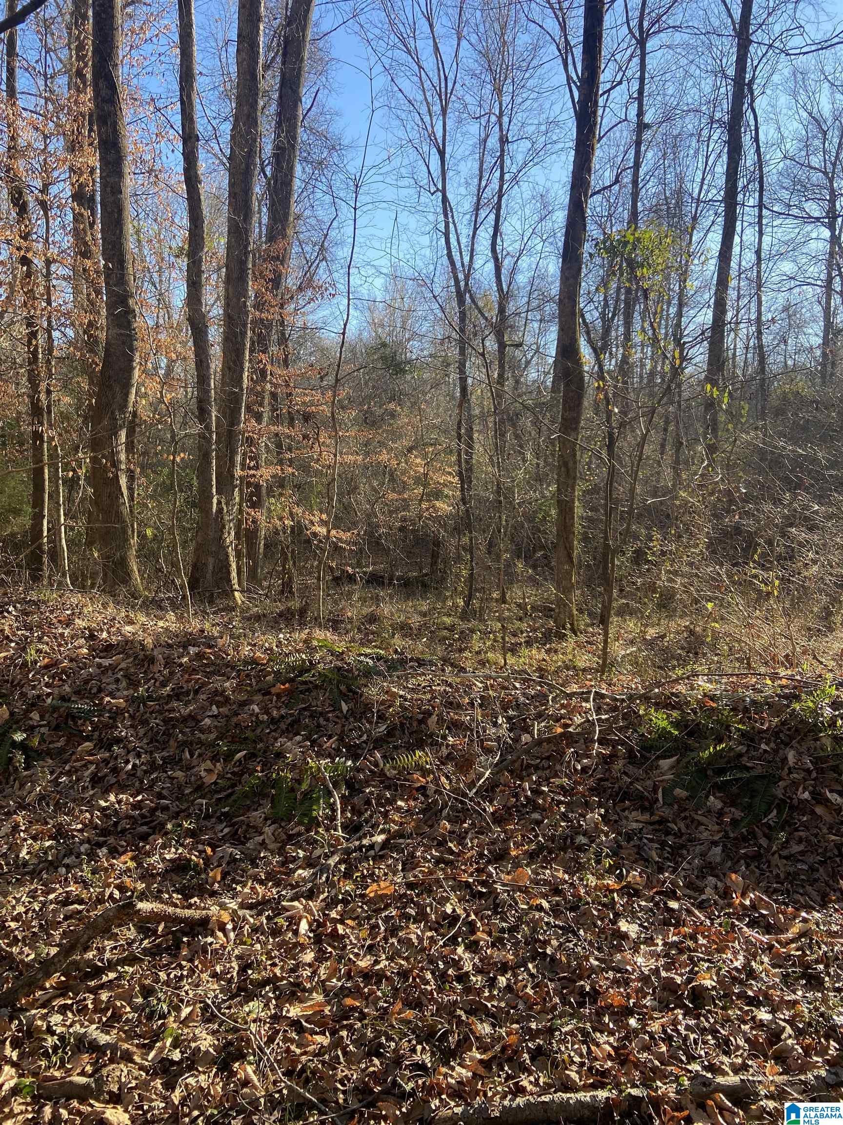 Moores Mill Road, Unit 30 Lanett, AL 36863 - Photo 3 of 3