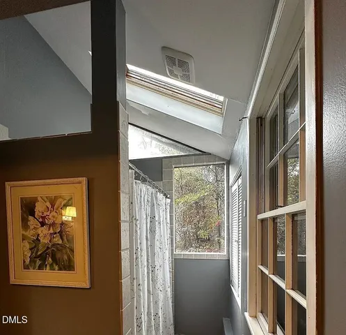 a view of a park with large trees