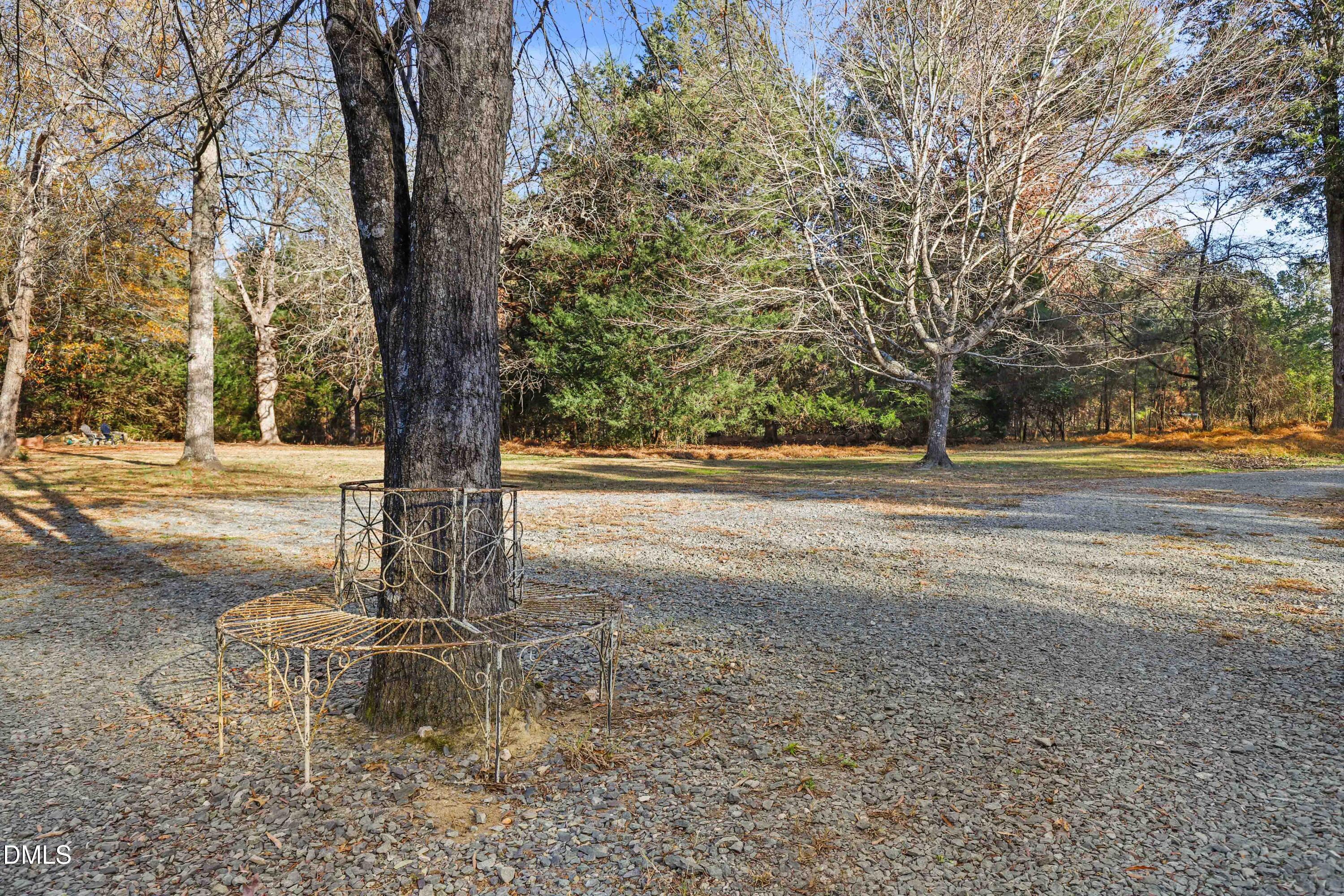6202 Montgomery Ests Road Hillsborough, NC 27278 - Photo 55 of 91 a view of a yard with a tree