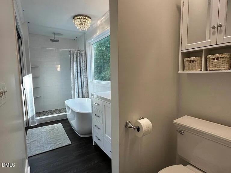 6202 Montgomery Ests Road Hillsborough, NC 27278 - Photo 68 of 91 a bathroom with a toilet a sink and a mirror