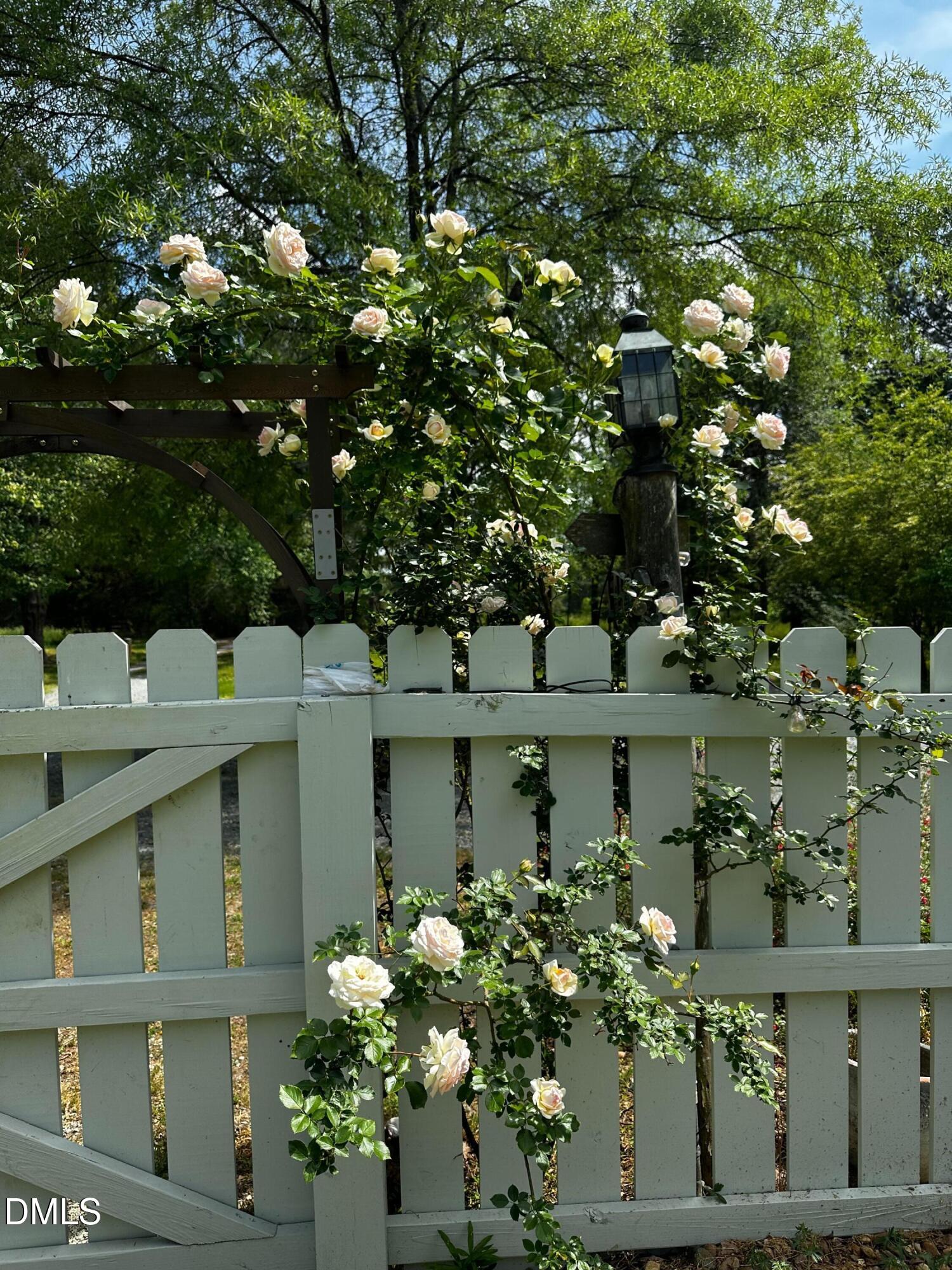 6202 Montgomery Ests Road Hillsborough, NC 27278 - Photo 71 of 91 a front view of a house with lots of trees