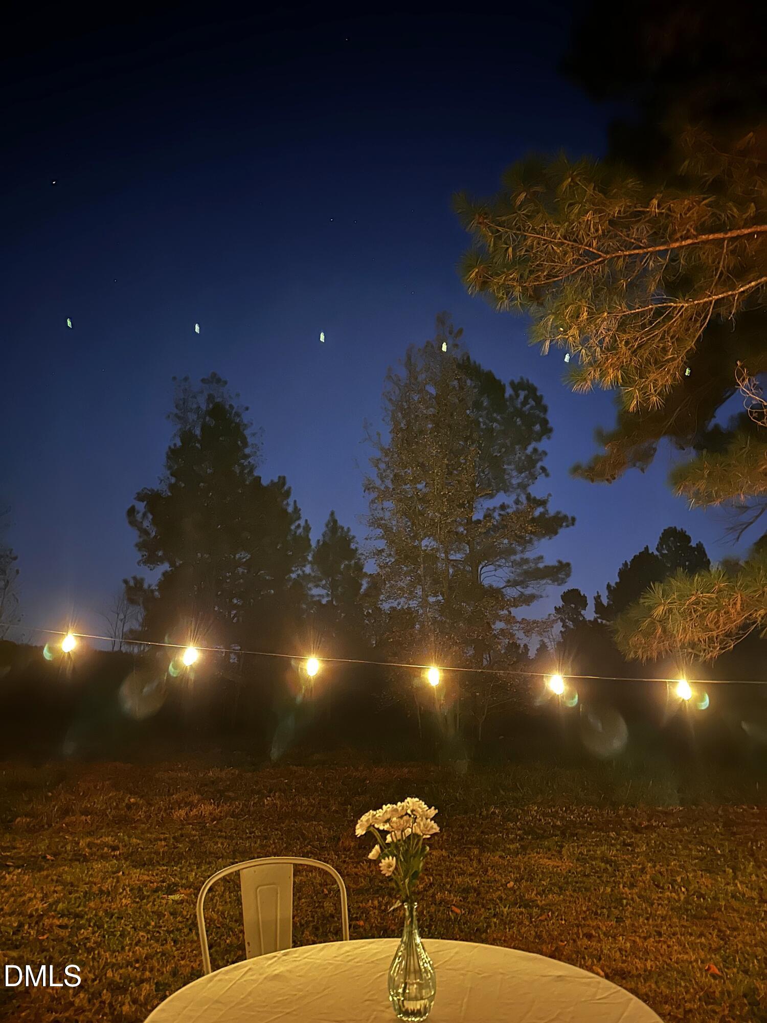 6202 Montgomery Ests Road Hillsborough, NC 27278 - Photo 78 of 91 Twilight Ext 2