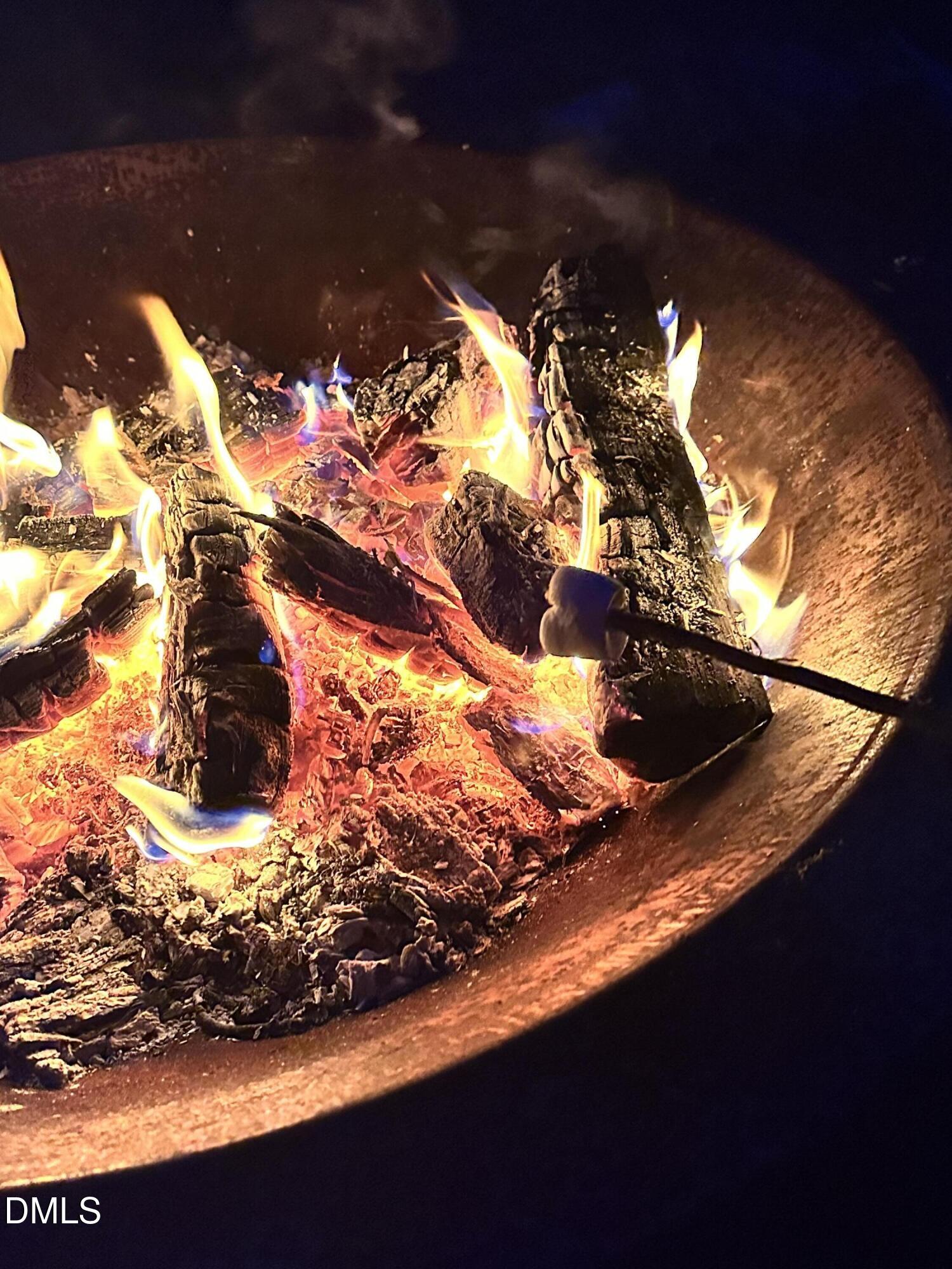 6202 Montgomery Ests Road Hillsborough, NC 27278 - Photo 79 of 91 a view of a lot of a tree