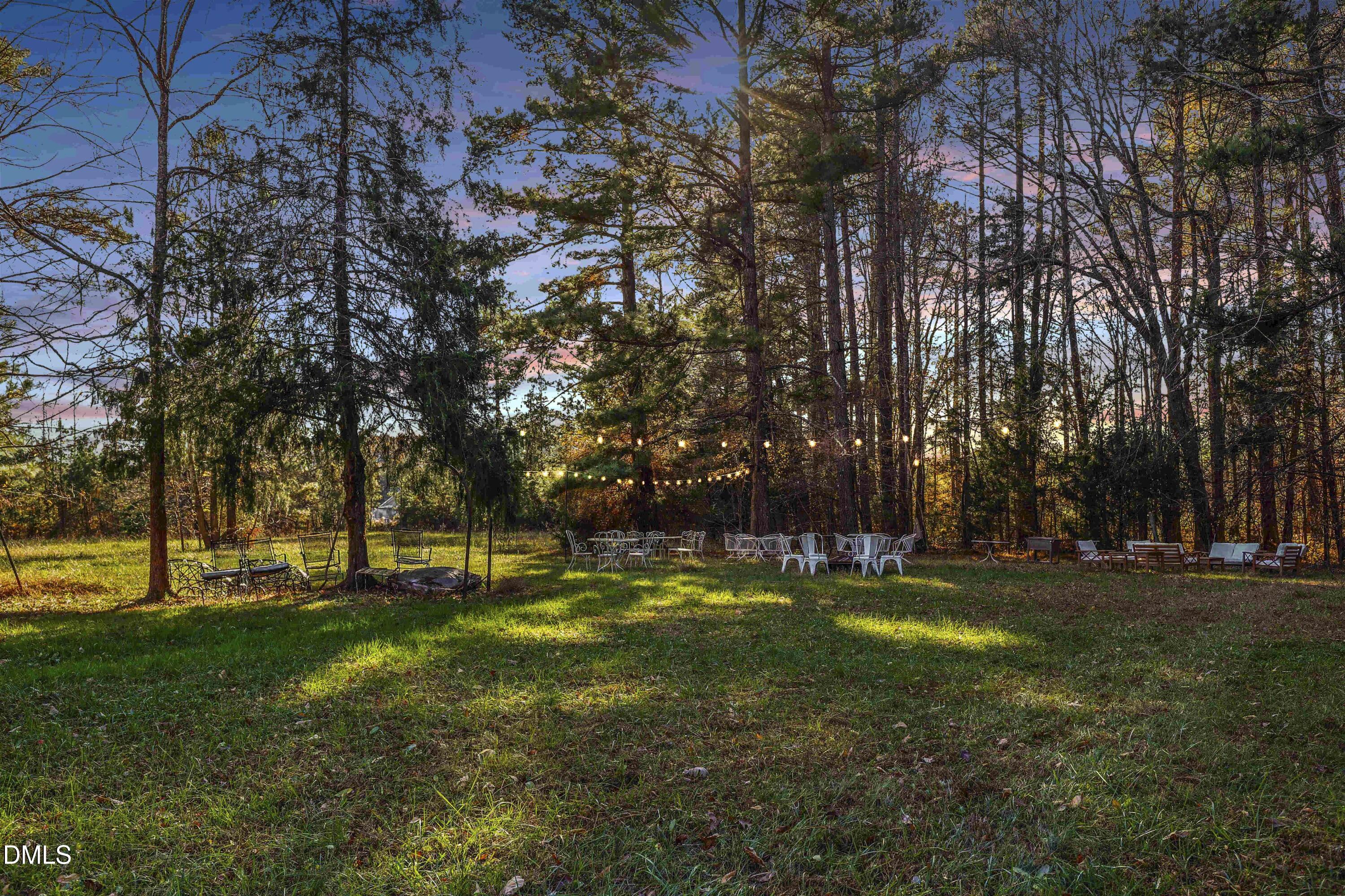 6202 Montgomery Ests Road Hillsborough, NC 27278 - Photo 88 of 91 a view of a park with large trees