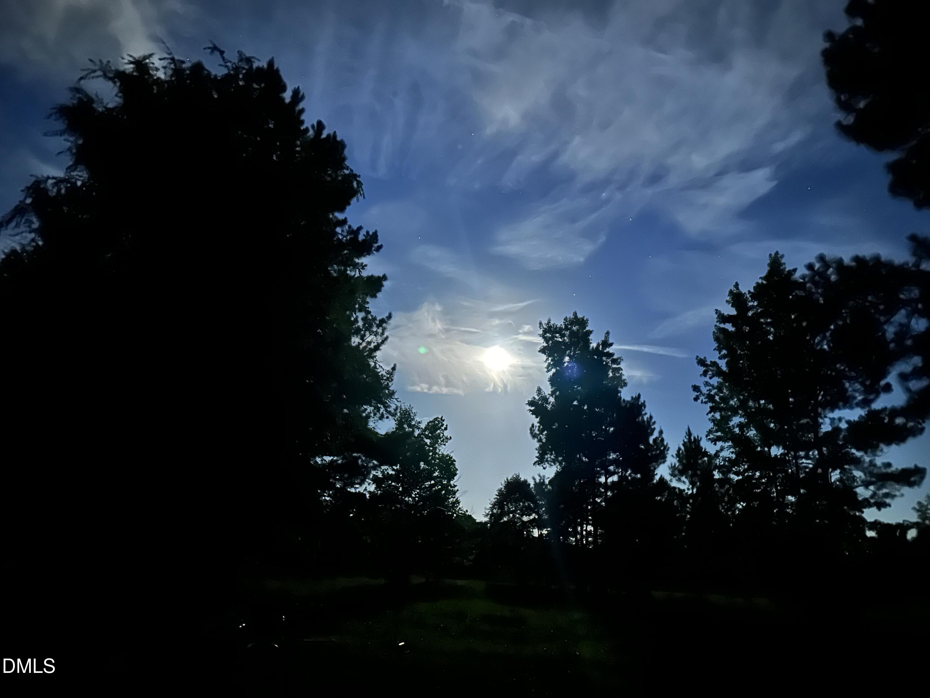 6202 Montgomery Ests Road Hillsborough, NC 27278 - Photo 91 of 91 Moon