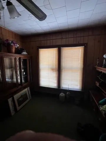 a view of a tree in the middle of a yard