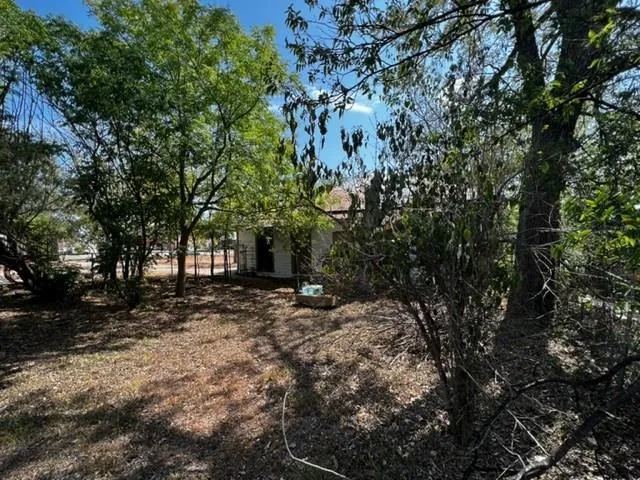 a view of a yard with trees