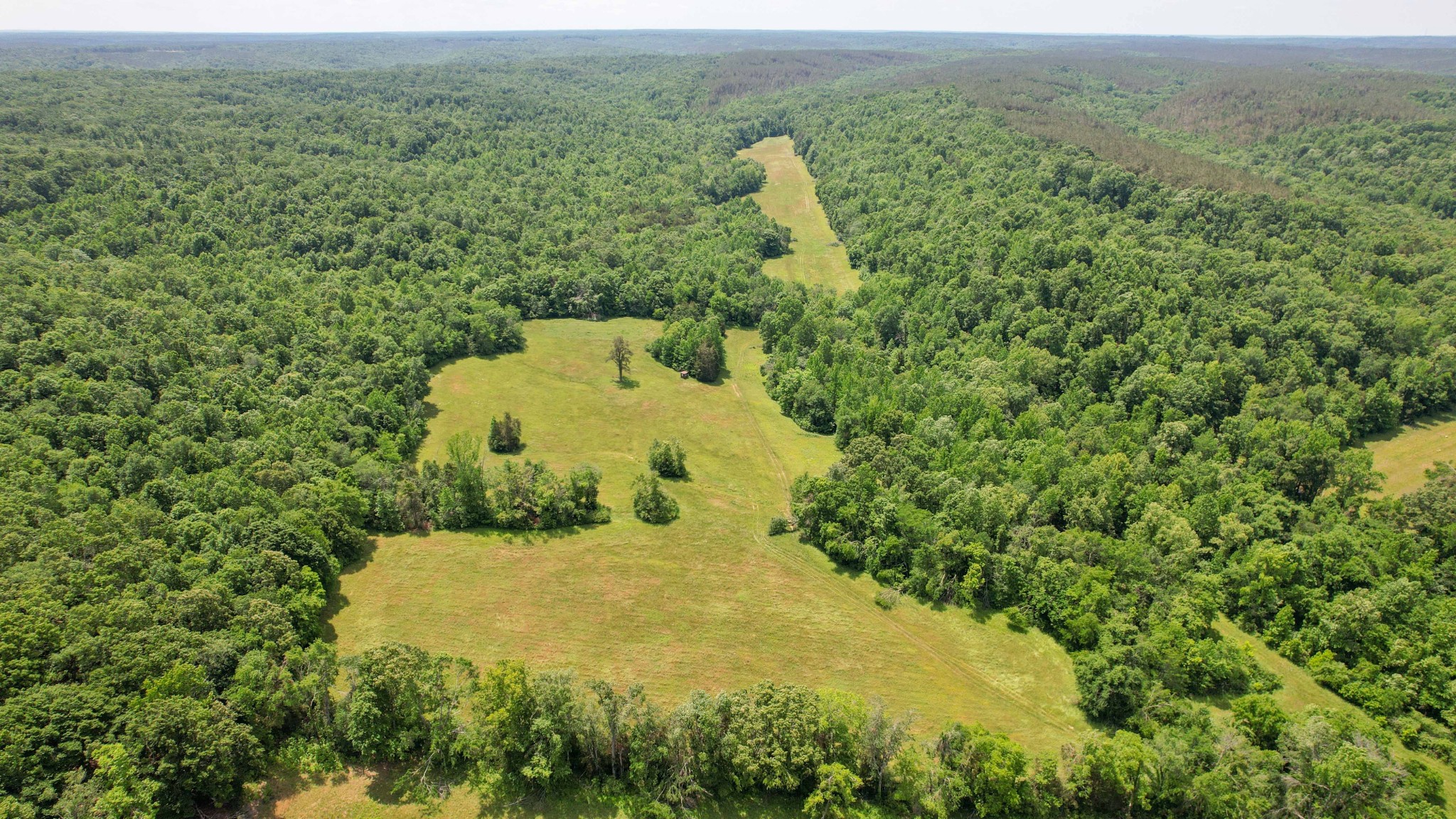 1267 Wades Branch Road Centerville, TN 37033 - Photo 64 of 73
