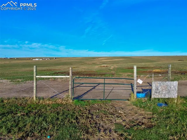 a view of a dry yard