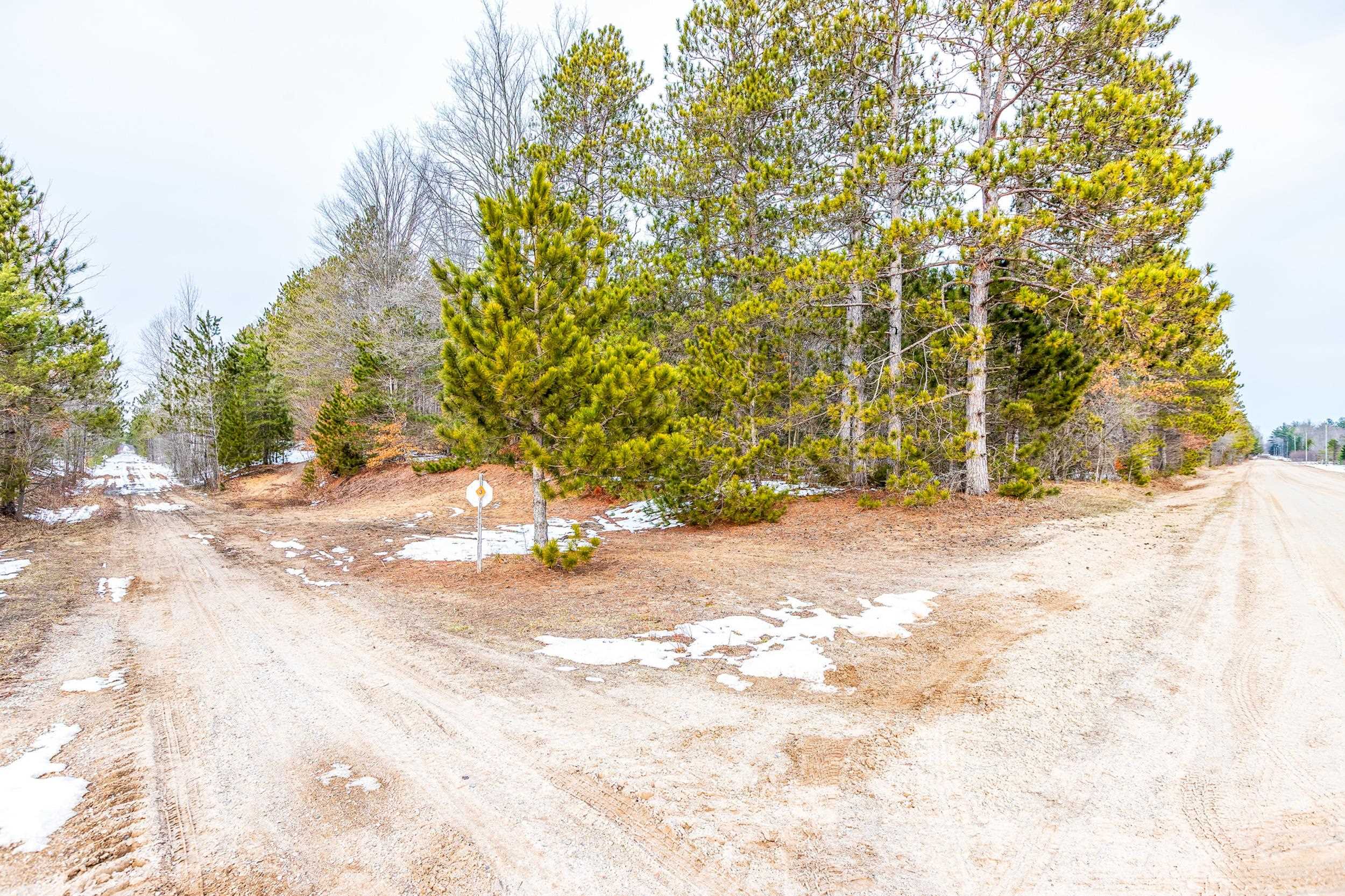 0 Makinen Road Kaleva, MI 49645 - Photo 19 of 25
