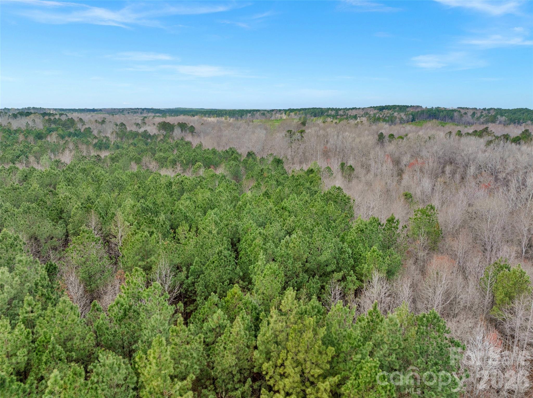 0 Coldstream Road Heath Springs, SC 29058 - Photo 10 of 31 Gallery Image 10
