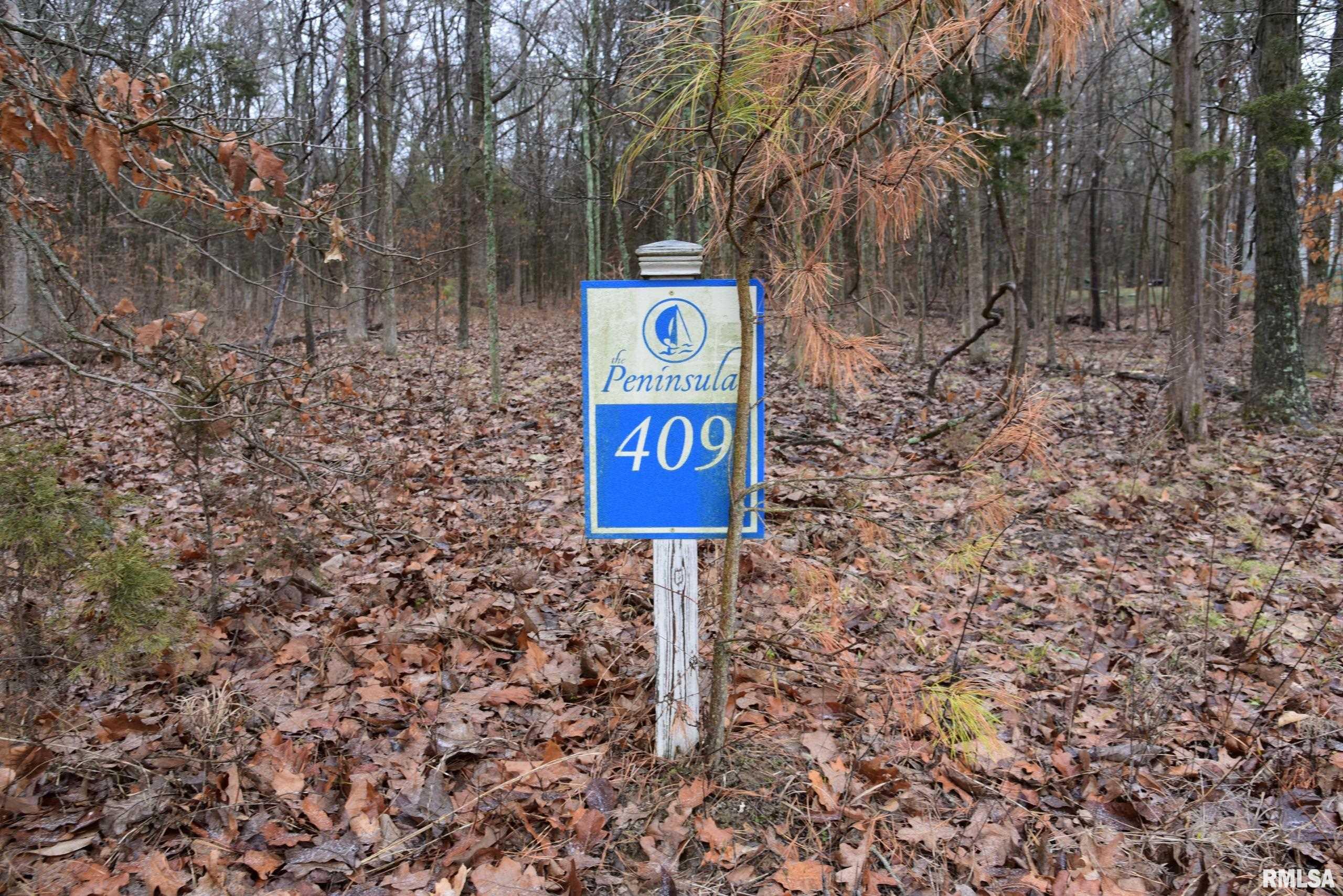 Lot 409 Parrish Ridge Lane Goreville, IL 62939 - Photo 1 of 21 Gallery Image 1