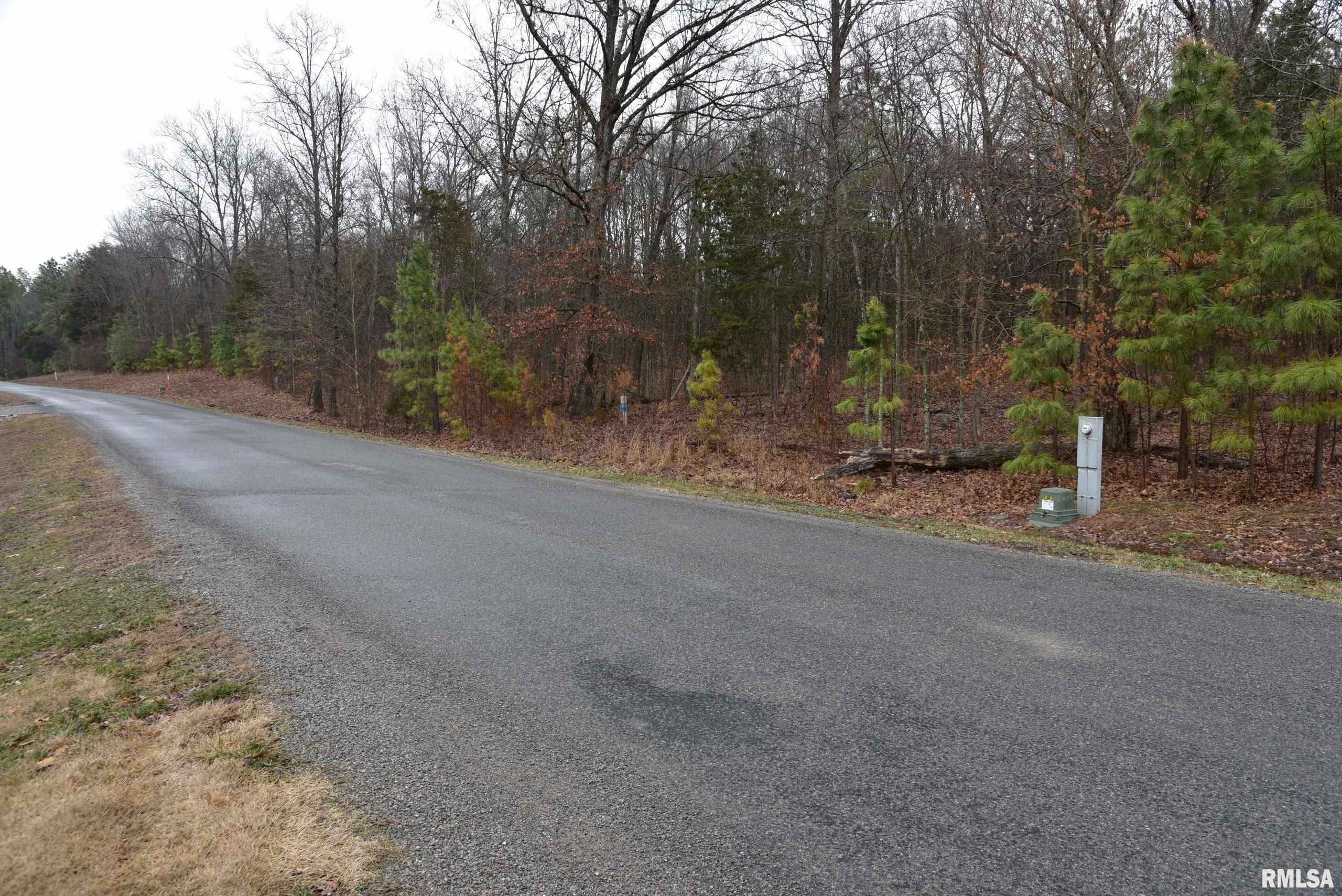 Lot 409 Parrish Ridge Lane Goreville, IL 62939 - Photo 5 of 21 Gallery Image 5