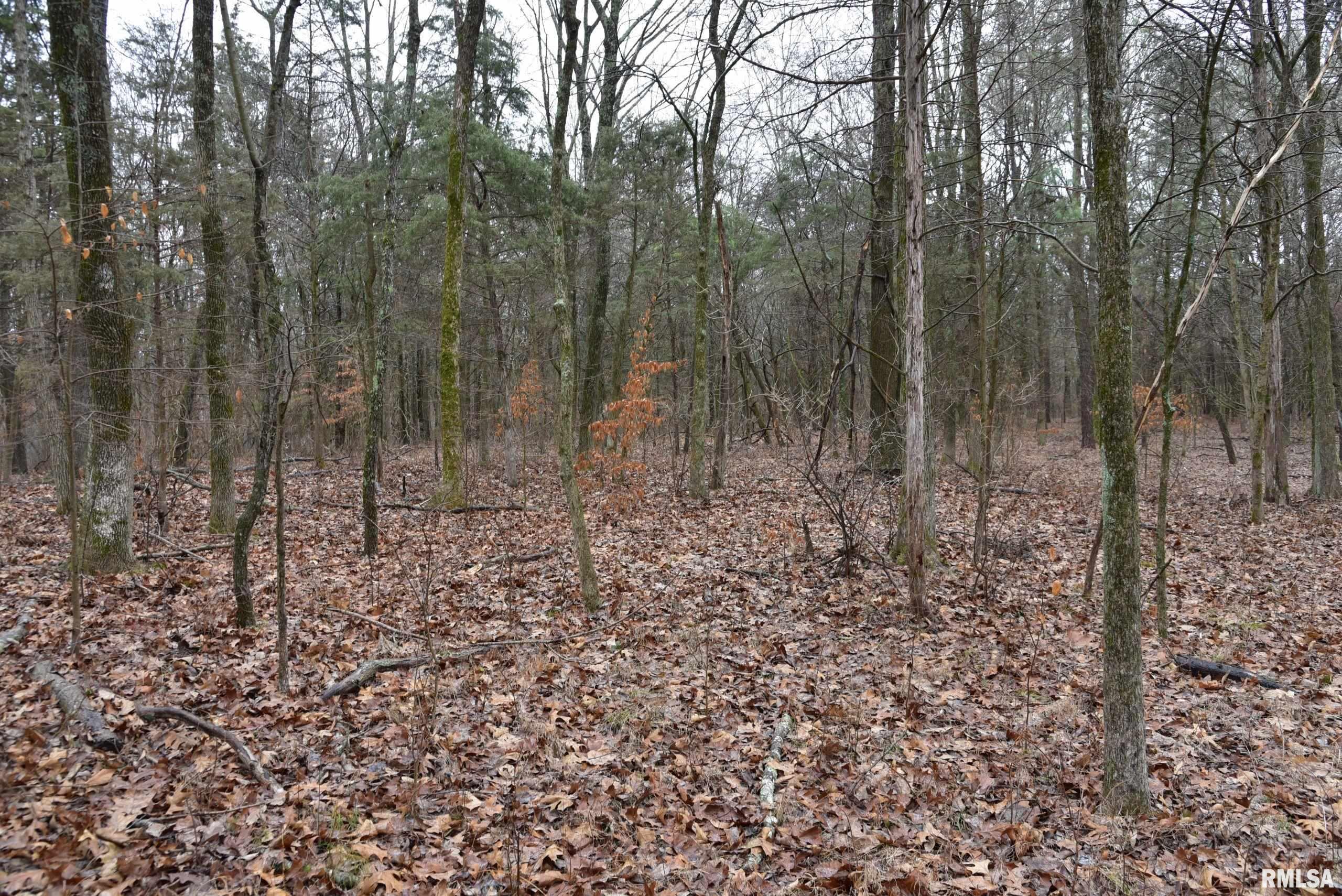 Lot 409 Parrish Ridge Lane Goreville, IL 62939 - Photo 10 of 21 Gallery Image 10