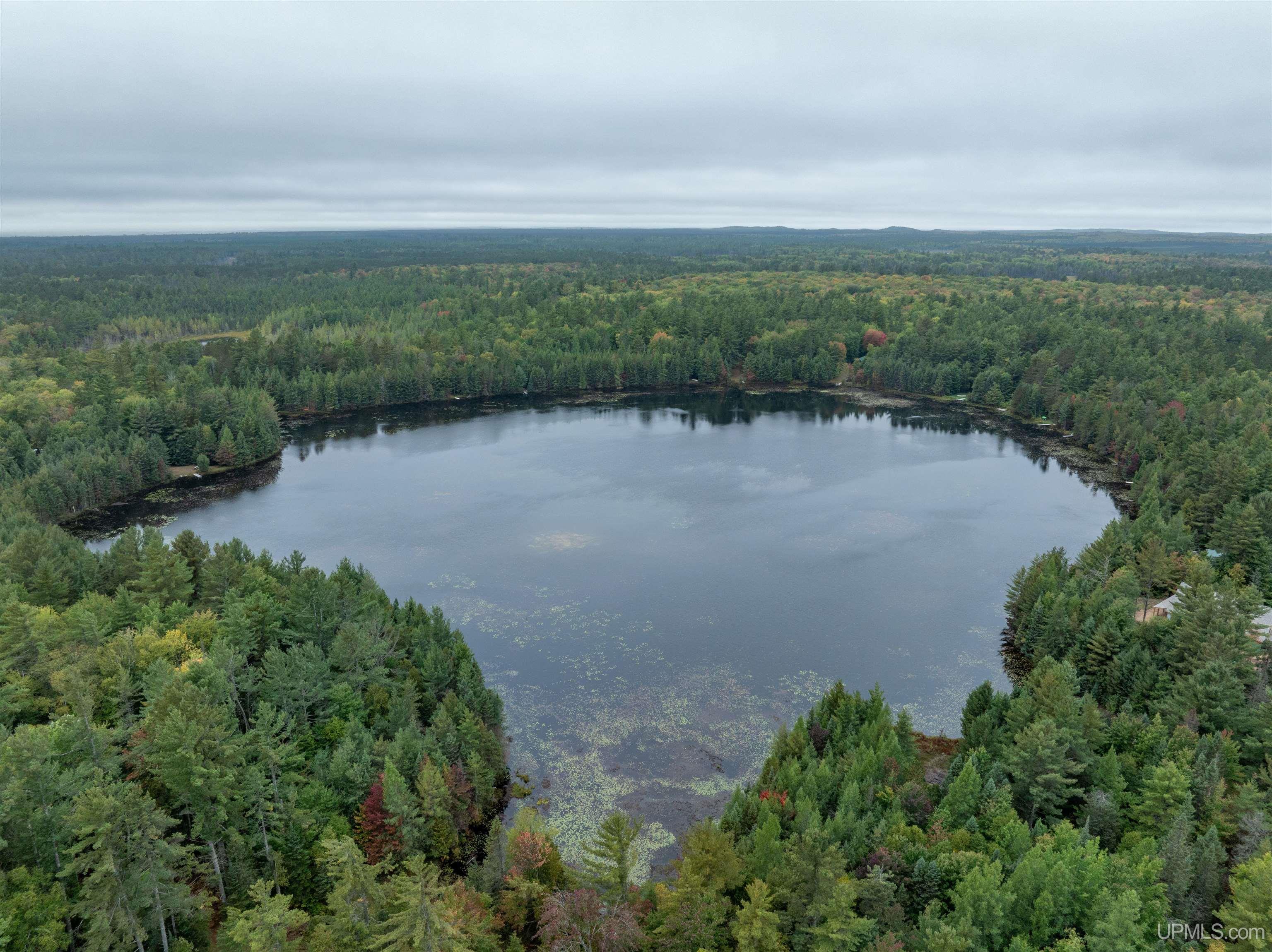 Tbd Leatherleaf Lane Munising, MI 49862 - Photo 24 of 24