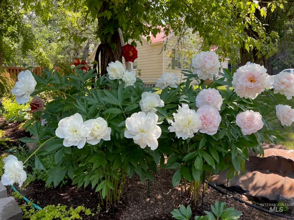 $1,175,000 | 911 Davis Avenue, McCall, ID 83638