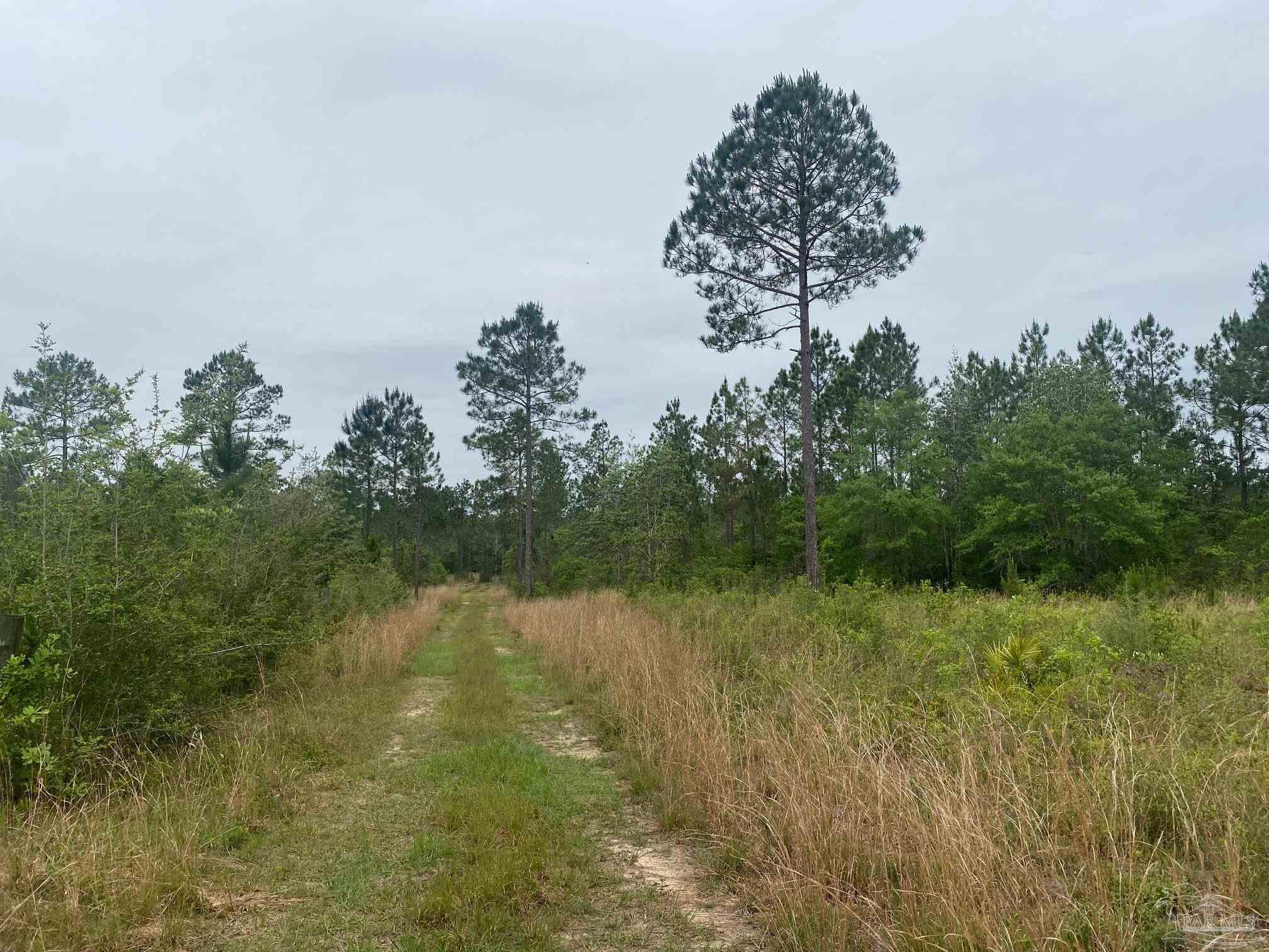 0 Walther Road Milton, FL 32570 - Photo 10 of 11