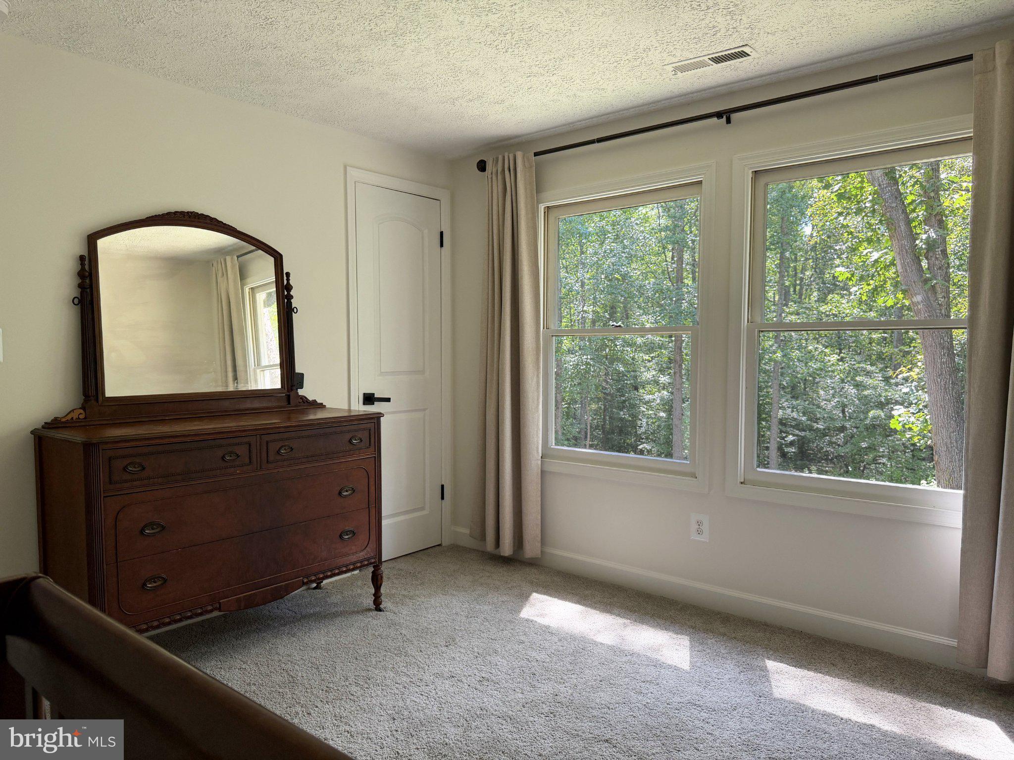 2208 Cartersville Road Mineral, VA 23117 - Photo 28 of 44 Serene bedroom with nature views.