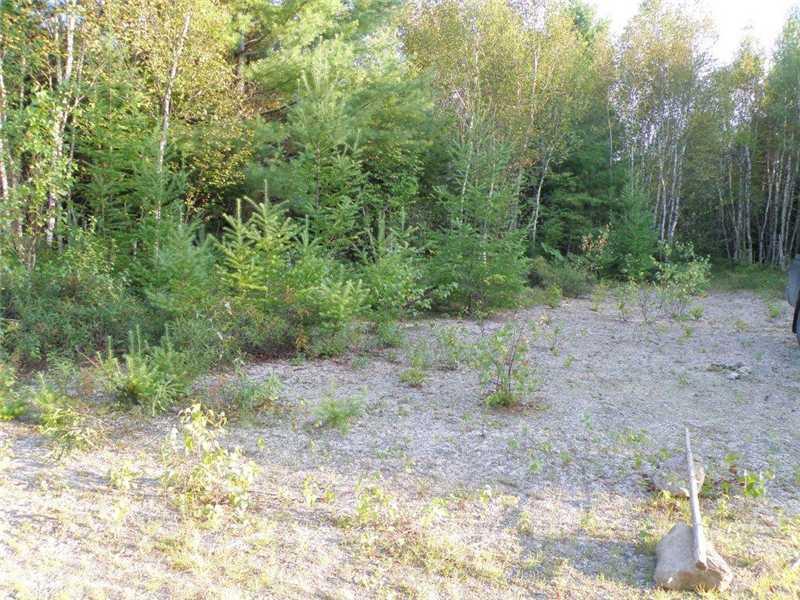 0 New Stream Road Wesley, ME 04686 - Photo 2 of 12 Land/Lot. Gravel driveway stubbed in