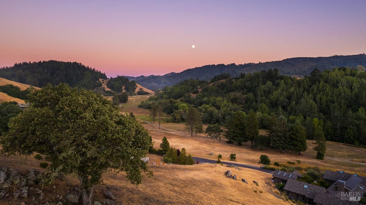 0 West Nicasio Road San Geronimo, CA 96963 - Photo 1 of 40