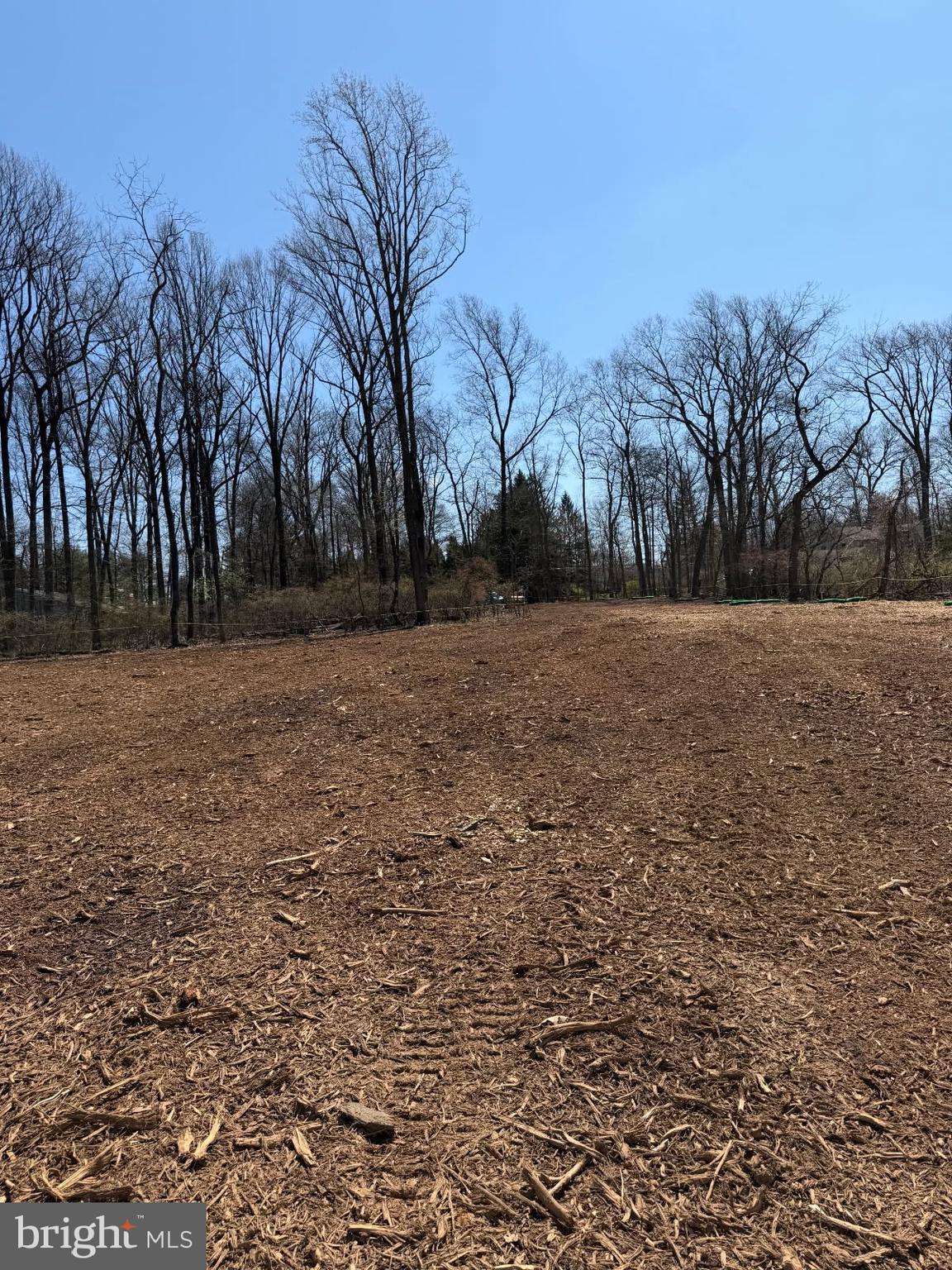 2550 Rickert Road Perkasie, PA 18944 - Photo 73 of 73 a view of dirt yard with trees