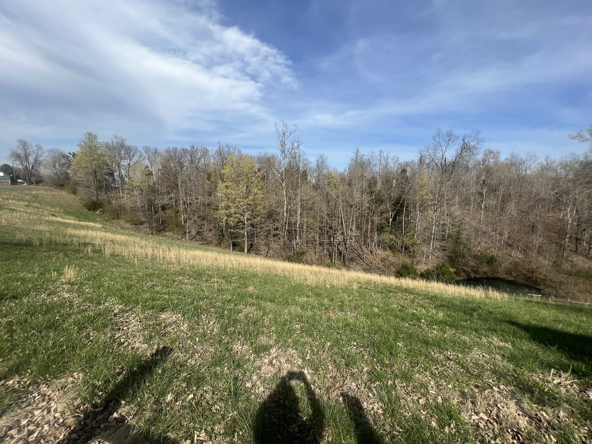 141 Cleveland Road Wartrace, TN 37183 - Photo 26 of 29 Gallery Image 26