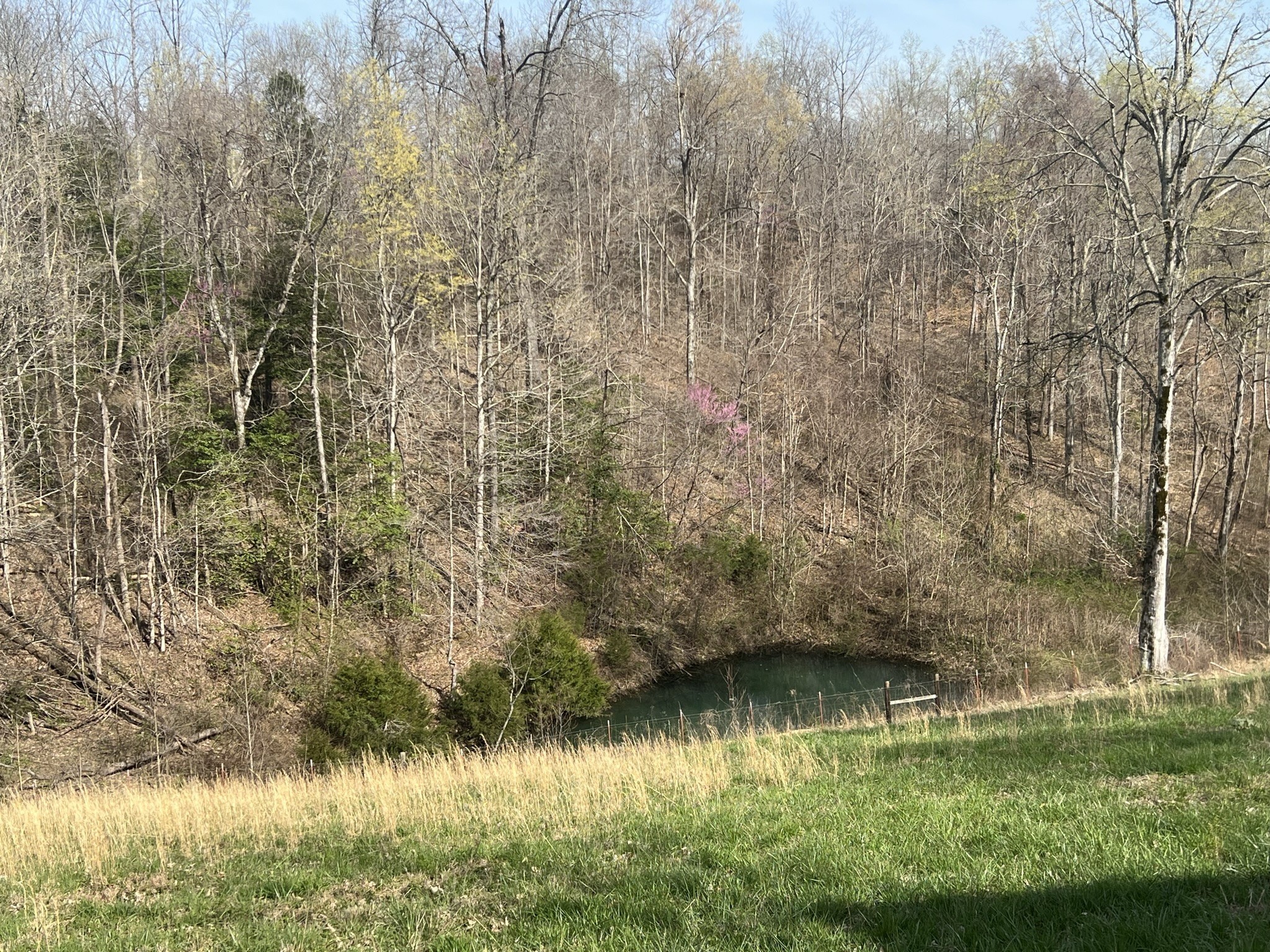 141 Cleveland Road Wartrace, TN 37183 - Photo 27 of 29 Gallery Image 27