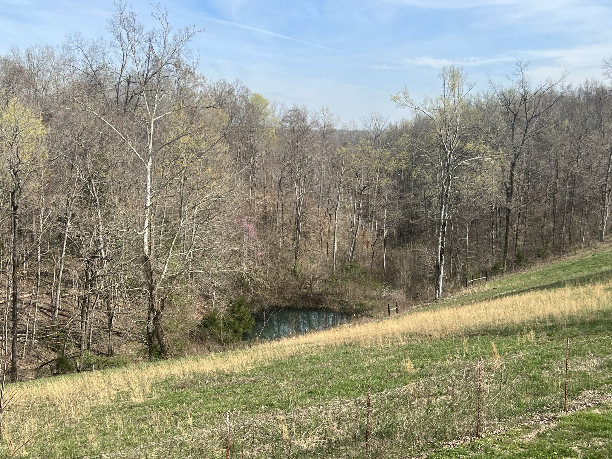 141 Cleveland Road Wartrace, TN 37183 - Photo 29 of 29 Gallery Image 29