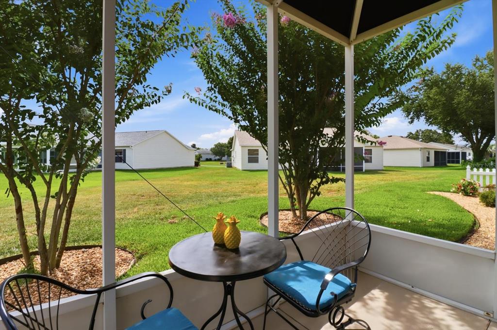2348 Riley Road The Villages, FL 32162 - Photo 33 of 46
