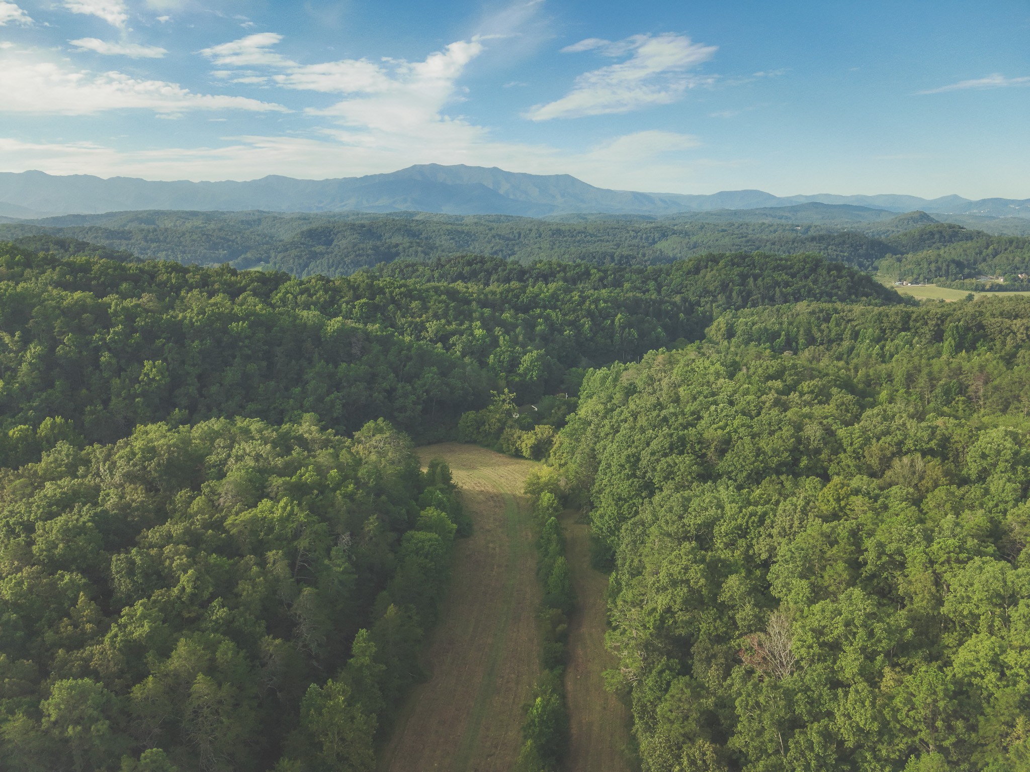 1634 Dixon Branch Road Sevierville, TN 37876 - Photo 25 of 86 Gallery Image 25