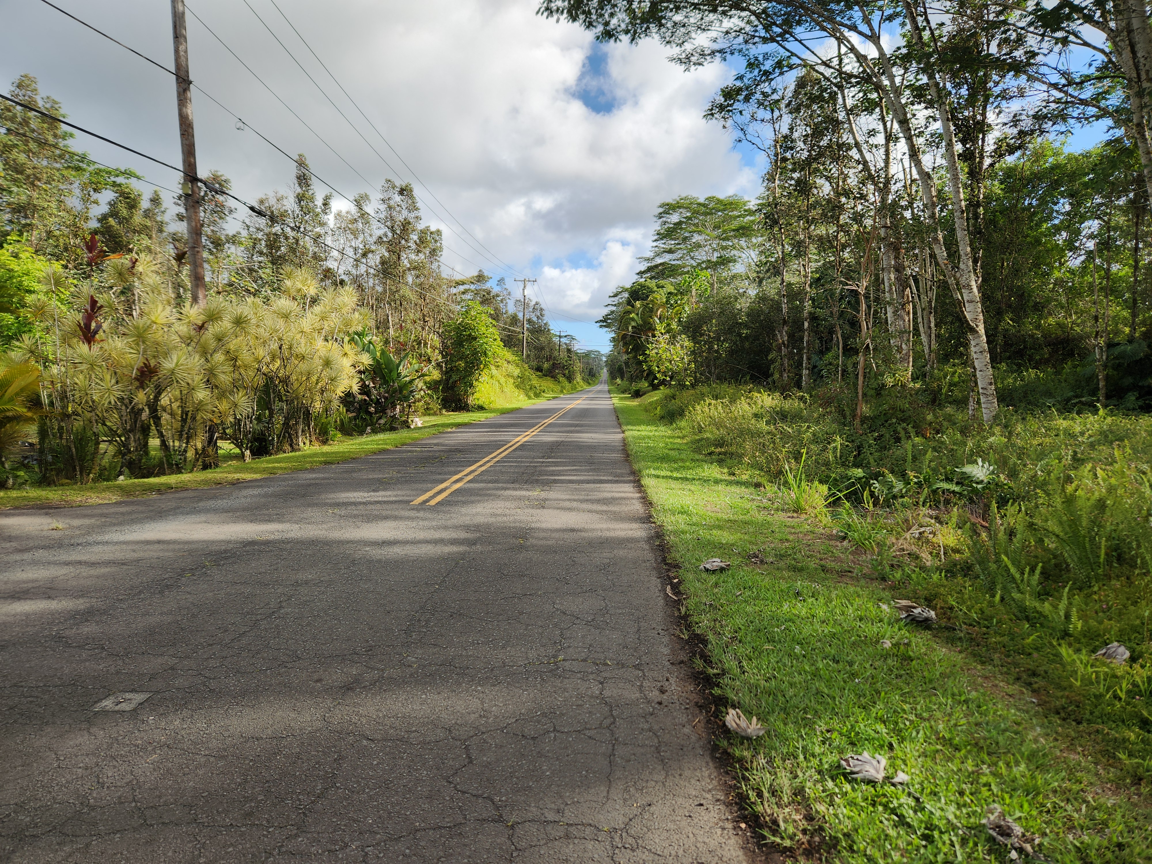 Kehau Road Pahoa, HI 96778 - Photo 4 of 10 a view of a yard with plants and trees