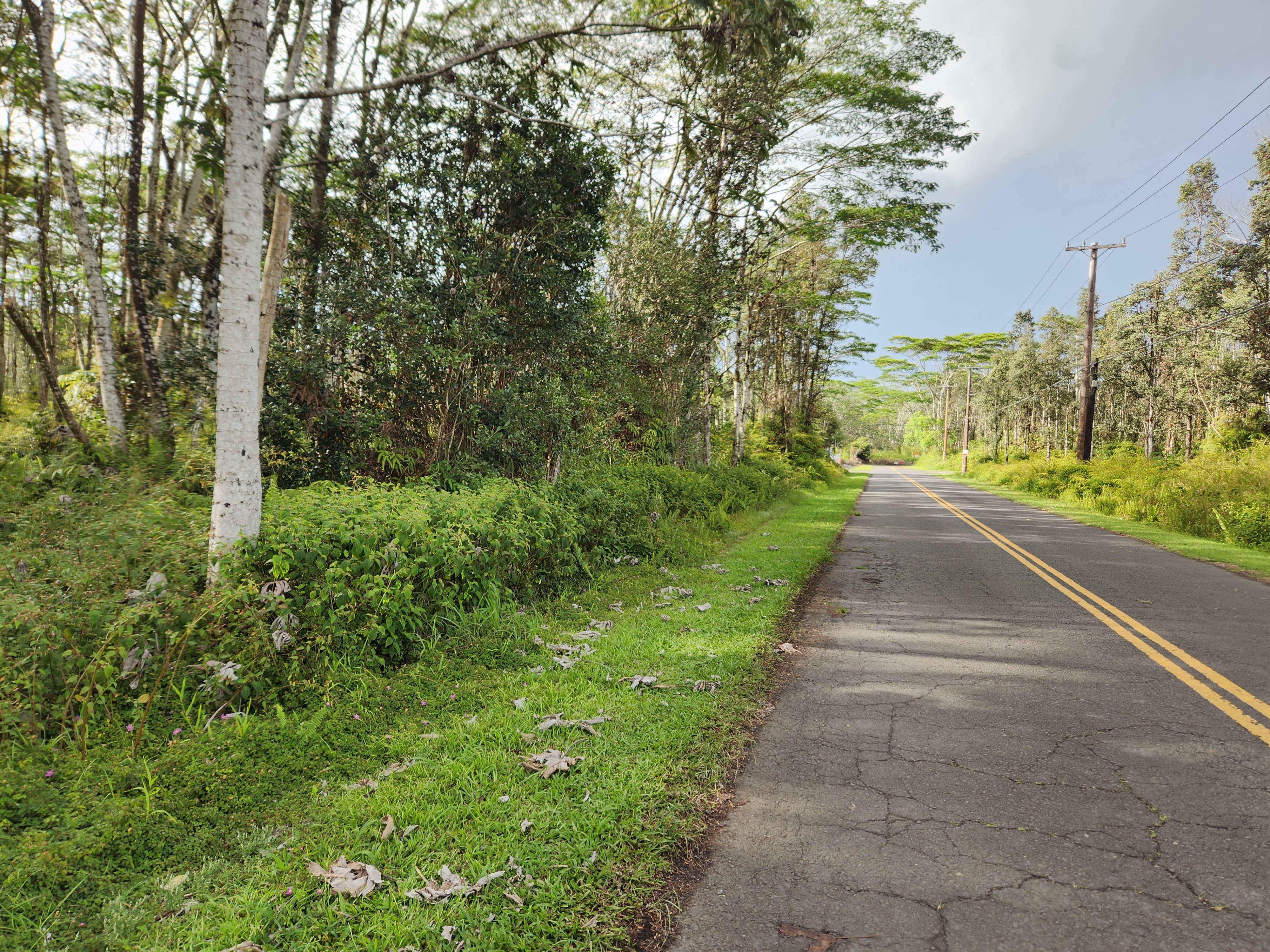 Kehau Road Pahoa, HI 96778 - Photo 5 of 10 a view of a pathway both side of yard