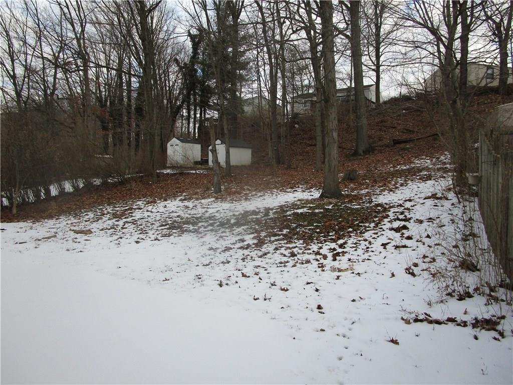 845 Blue Ridge Road Pittsburgh, PA 15239 - Photo 16 of 18 backyard