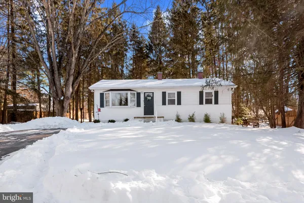 a front view of a house with a tree in front of it