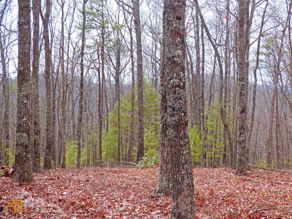 0 Doublehead Gap Road, Unit LOT 7 Blue Ridge, GA 30513 - Photo 1 of 1 Gallery Image 1