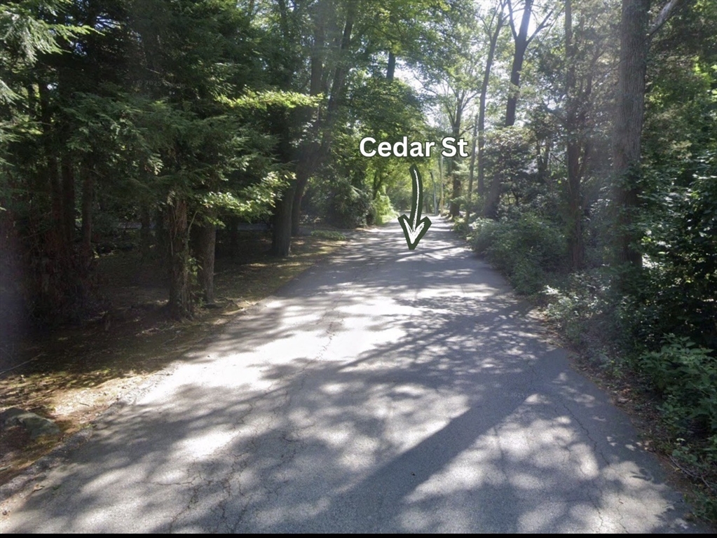 0 Cedar Street Warwick, RI 02886 - Photo 2 of 4 a view of a tree in a yard