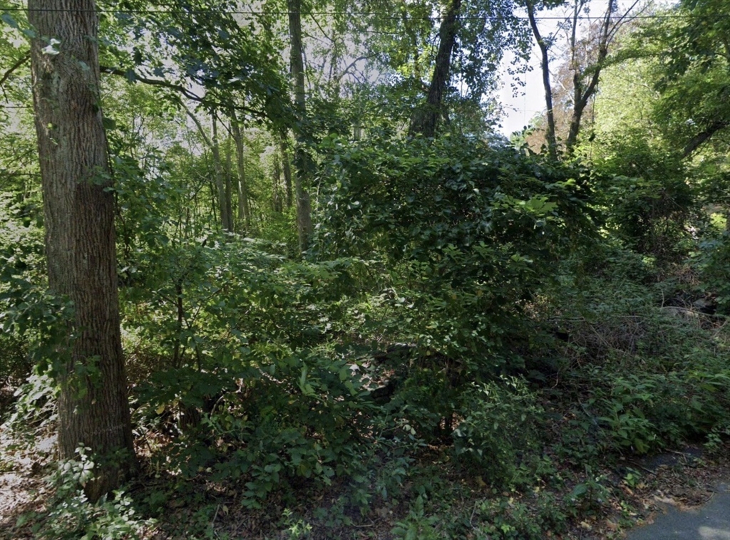 0 Cedar Street Warwick, RI 02886 - Photo 3 of 4 a view of a lush green forest