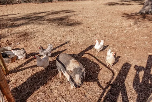 $425,000 | 101 Callaham Drive, Belton, SC 29627