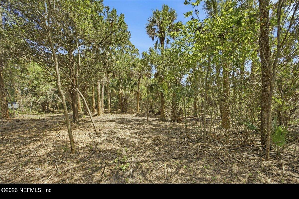 3258 Lewis Speedway St. Augustine, FL 32084 - Photo 5 of 10 a view of a yard with trees